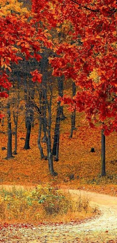 Scenic autumn forest path with vibrant red leaves.