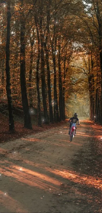 Motorcyclist rides through autumn forest path with falling leaves.