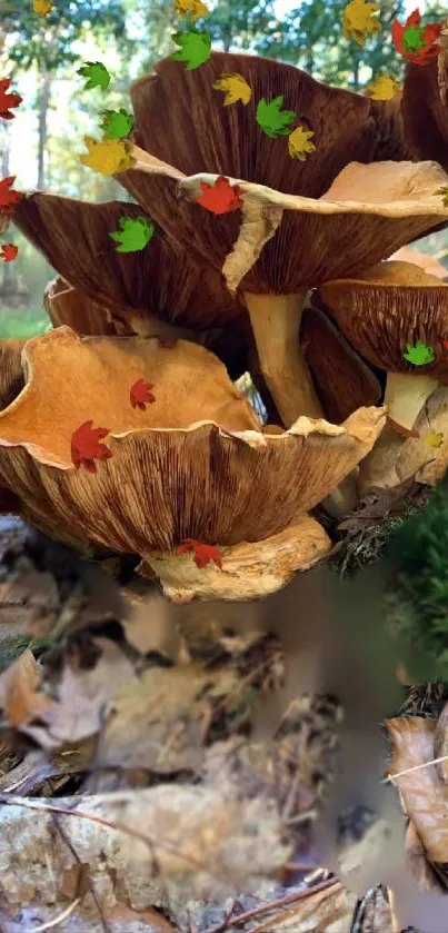 Mushrooms in an autumn forest with falling colorful leaves.