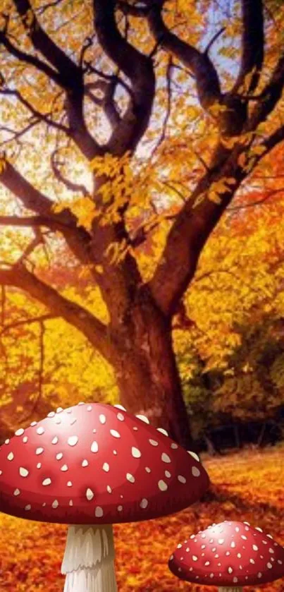 Autumn forest wallpaper with red mushrooms.