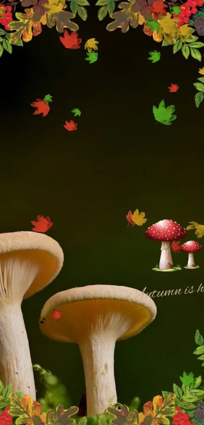 Autumn forest wallpaper with mushrooms and colorful leaf border.