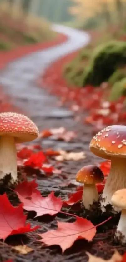 Autumn forest path with mushrooms and red leaves.