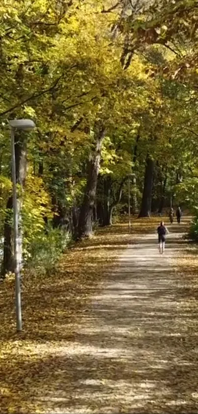 Peaceful autumn path through a forest with golden leaves.