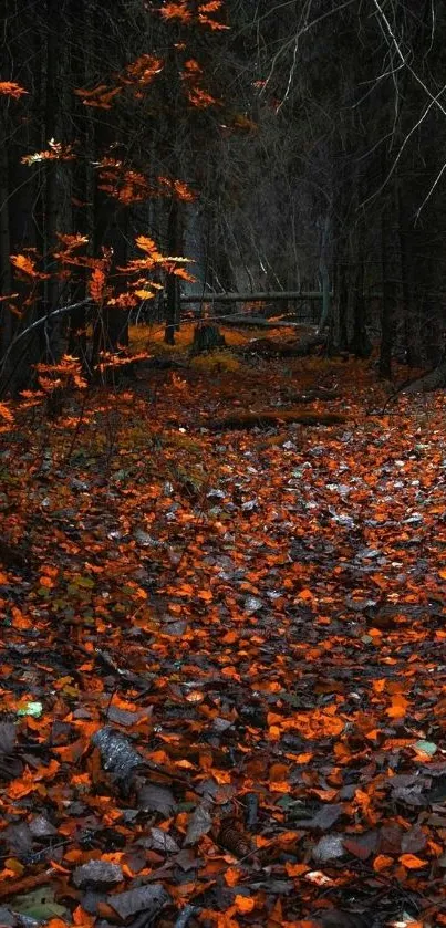 A peaceful forest path covered in orange autumn leaves.