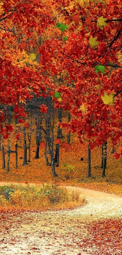 Autumn forest path with red foliage and winding trail.