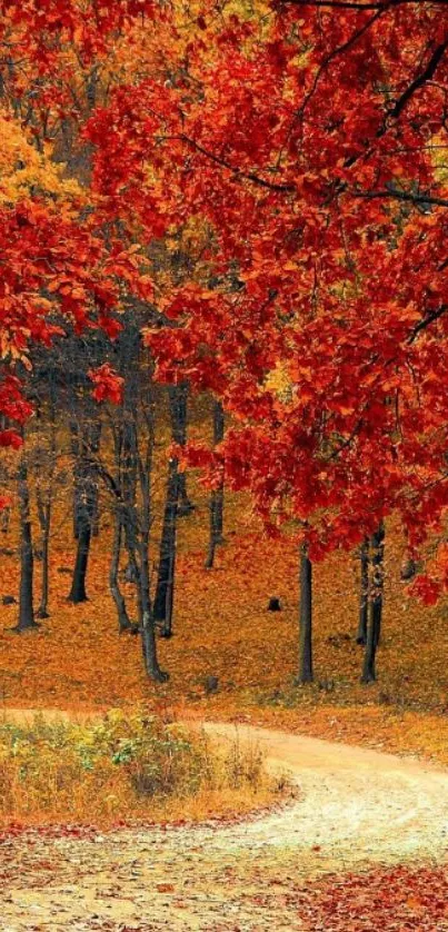 Vibrant autumn forest path with red leaves and a winding trail.