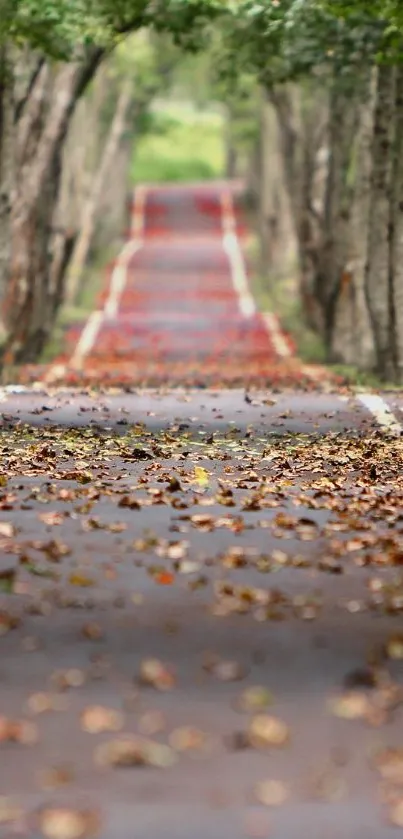 Scenic autumn forest path with fallen leaves.