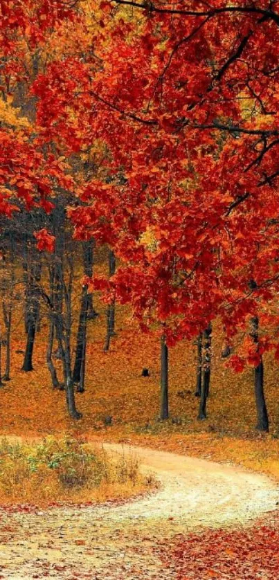 Vibrant autumn forest path with red foliage.