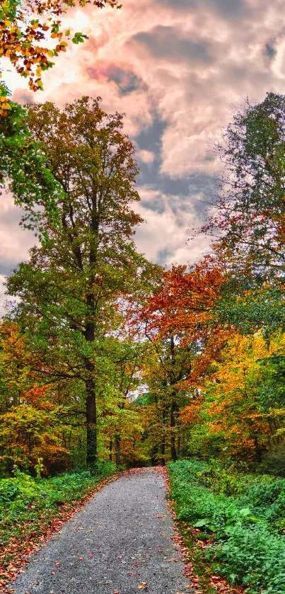 Serene forest path with colorful autumn leaves under cloudy sky.