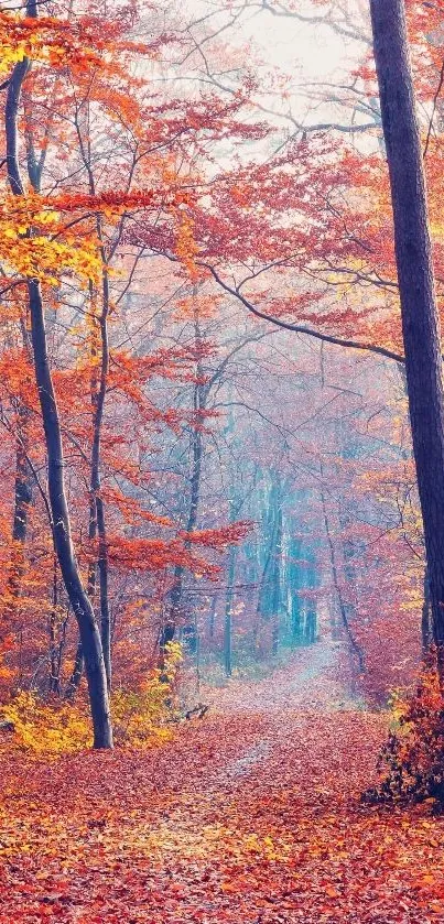 Autumn forest path with vibrant leaves.