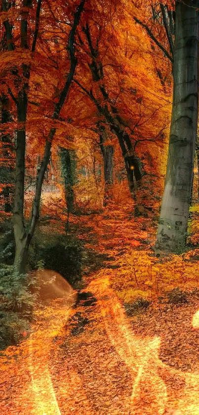 Autumn forest path with orange foliage and tranquil landscape.