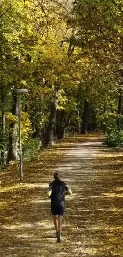 Runner on a forest path covered in autumn leaves.