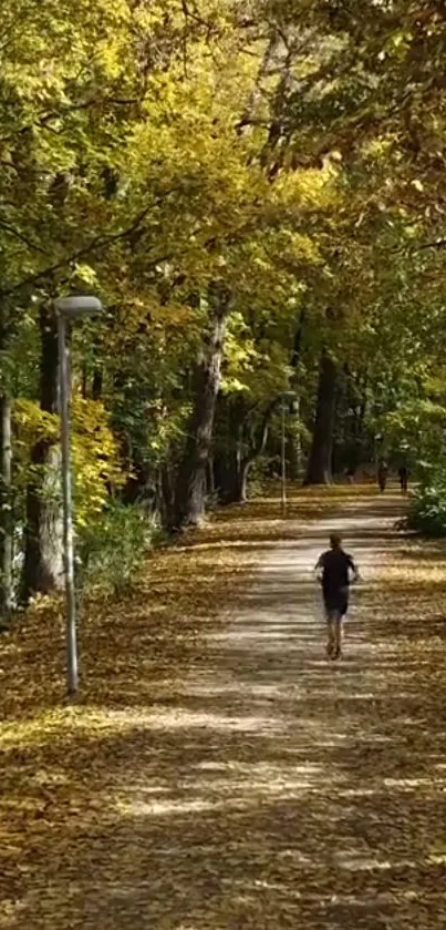 Golden autumn leaves covering a forest path.