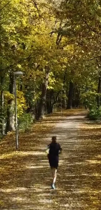 Jogging on a sunlit autumn forest path with fallen leaves.