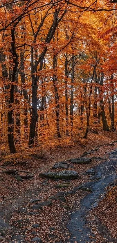 Autumn forest path with vibrant orange leaves.