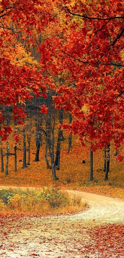 Autumn forest path with vibrant red leaves and a meandering trail.