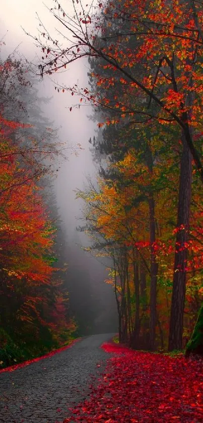 Vibrant autumn forest path with red and orange leaves.