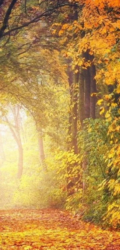 Mobile wallpaper of an autumn forest path with vibrant fall colors.