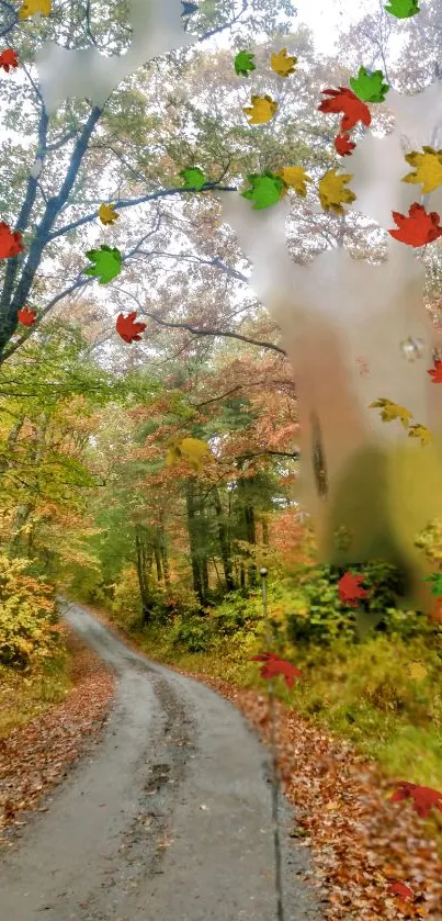 Serene forest path with falling autumn leaves.