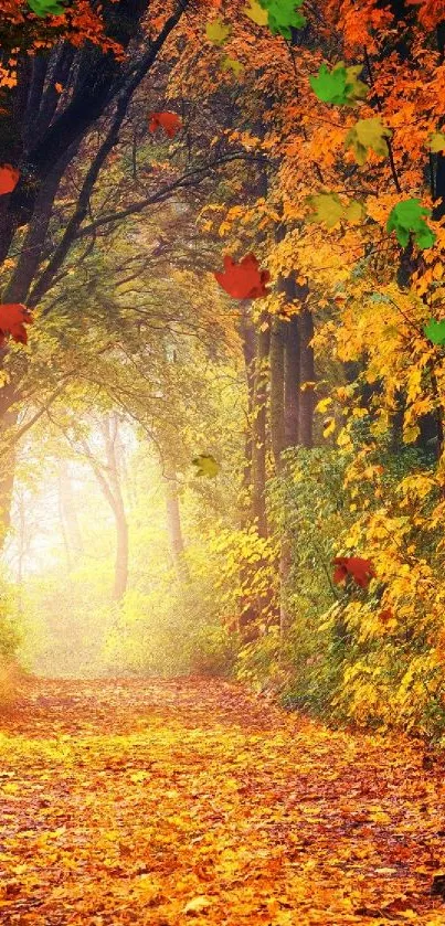 Autumn forest path with vibrant orange foliage and sunlight.