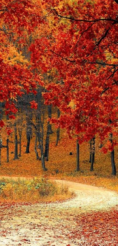 Autumn forest path with vibrant red foliage and winding trail.