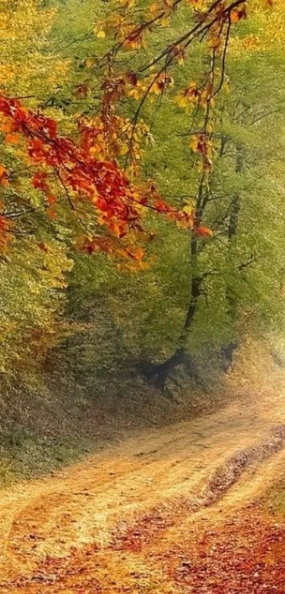 Autumn forest path with vibrant leaves on a scenic trail under a clear sky.