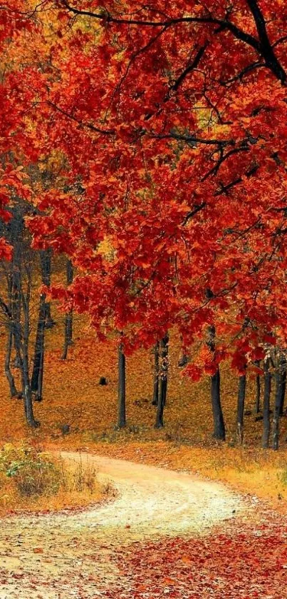 Autumn forest path with vibrant red leaves.