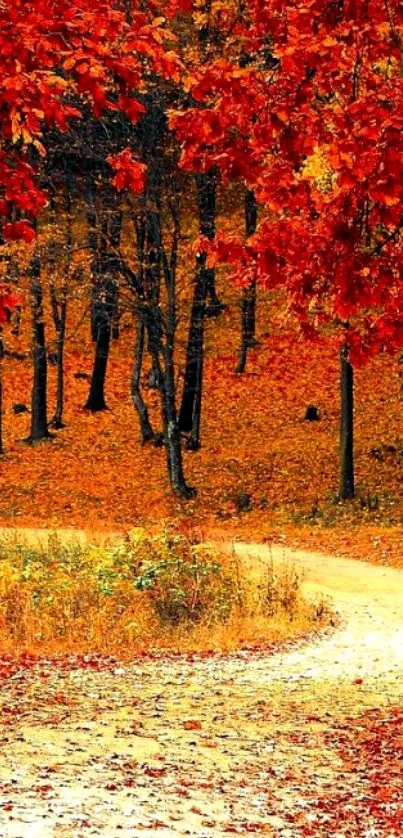 Autumn forest path with red leaves and a winding trail.