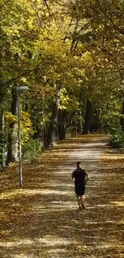 A jogger on a leaf-covered forest path in autumn.