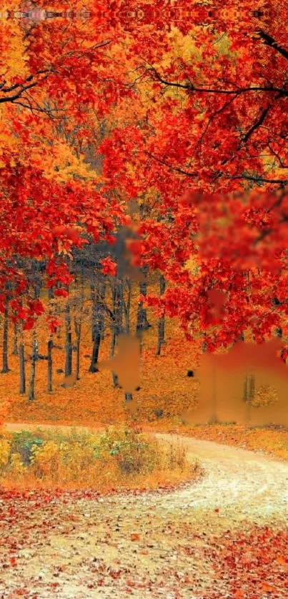 Autumn forest path with vibrant red leaves.