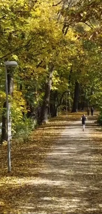 Peaceful autumn pathway surrounded by golden forest leaves.