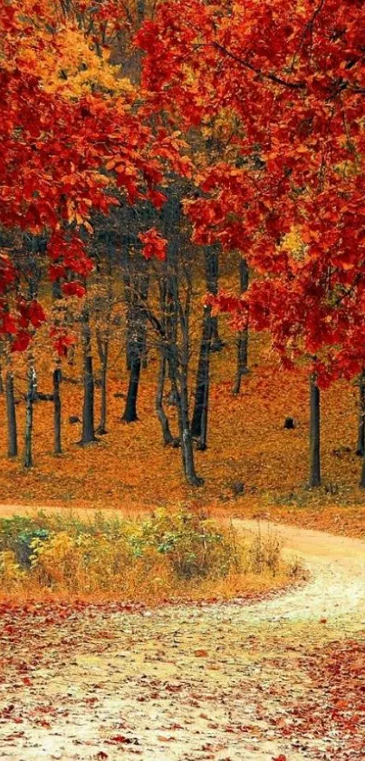 Autumn forest path with vibrant red leaves.