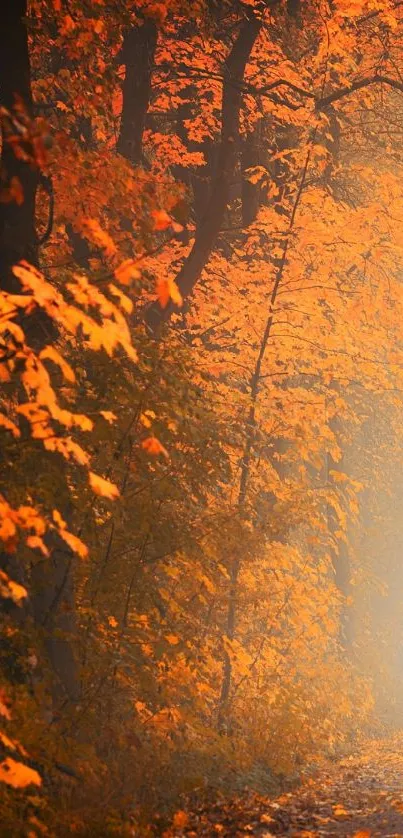 Misty autumn forest pathway with golden-orange leaves.