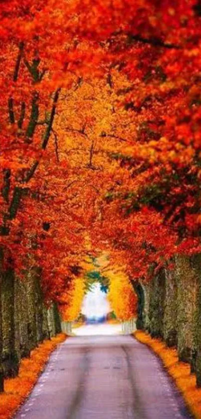 Vibrant autumn forest pathway with orange leaves.