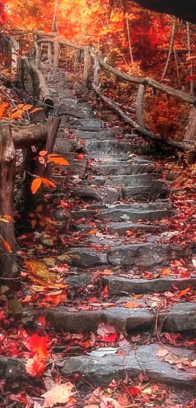 Autumn forest pathway with stone steps and vibrant leaves.