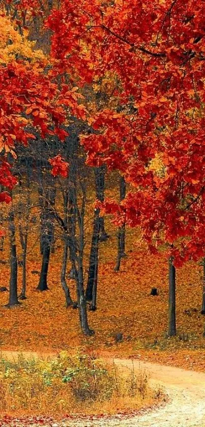 Autumn forest with red and orange leaves and a winding path.