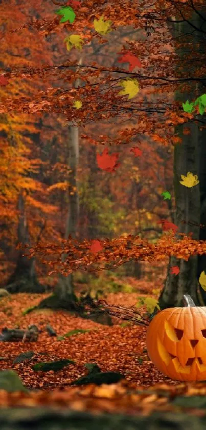 Pumpkin in a vibrant autumn forest with colorful foliage and serene ambiance.