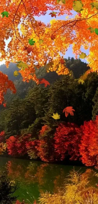 Vibrant autumn forest reflected in a peaceful lake with orange and red foliage.