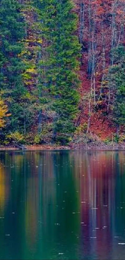 Serene autumn forest with colorful reflection on a lake.