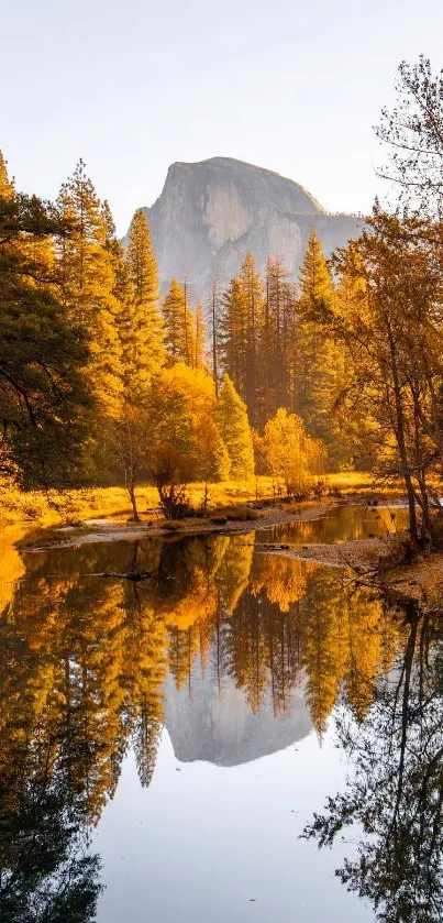 Stunning autumn forest reflection with golden hues in a tranquil river.