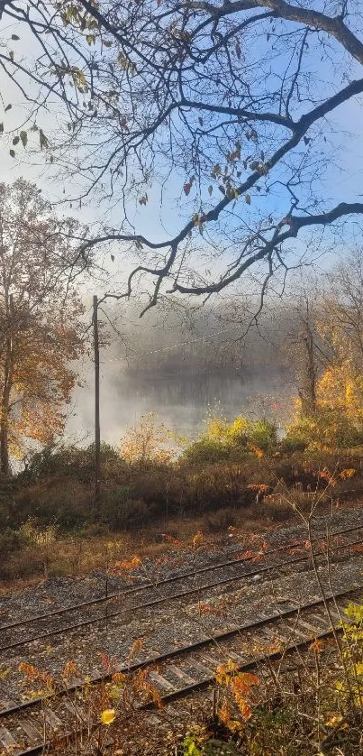 Autumn forest with mist over calm lake and railway in foreground.