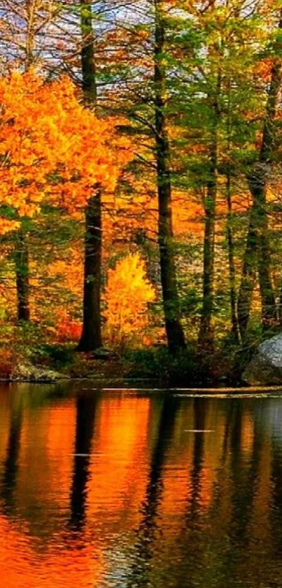 Autumn forest with vibrant orange leaves reflecting on a calm lake.