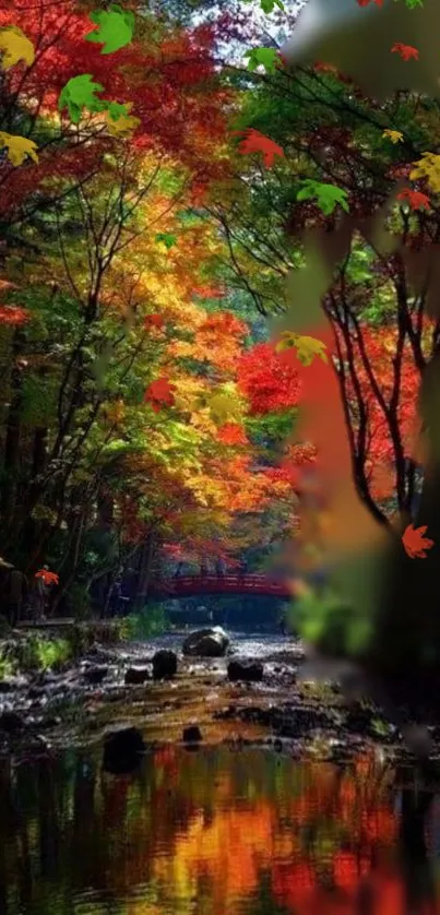 Beautiful autumn forest with colorful leaves and reflection in calm water.