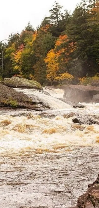 Autumn forest river with vibrant fall trees