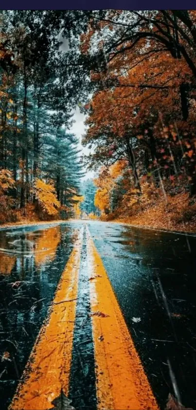 Rain-soaked autumn road with vibrant foliage.