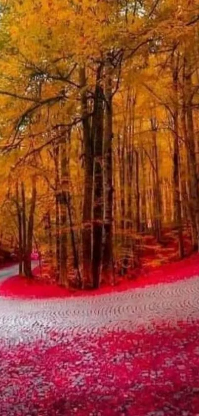 Scenic autumn road through vibrant orange forest.