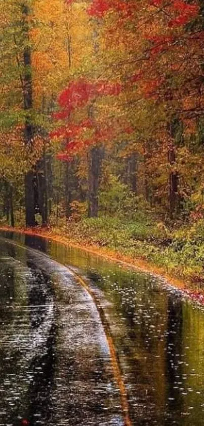 Scenic autumn forest road with colorful foliage and a wet reflective surface.