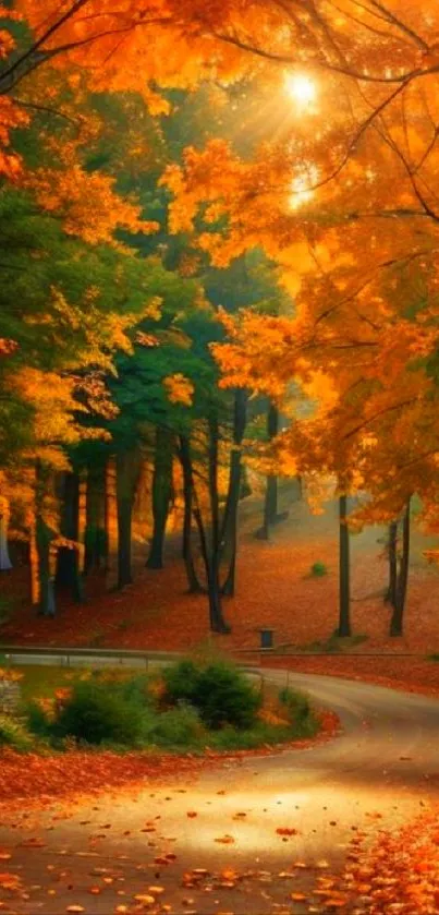 Serene autumn forest with a winding path and vibrant orange leaves.