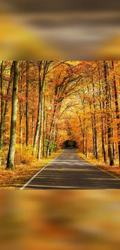 Serene autumn forest road with orange leaves for mobile wallpaper.