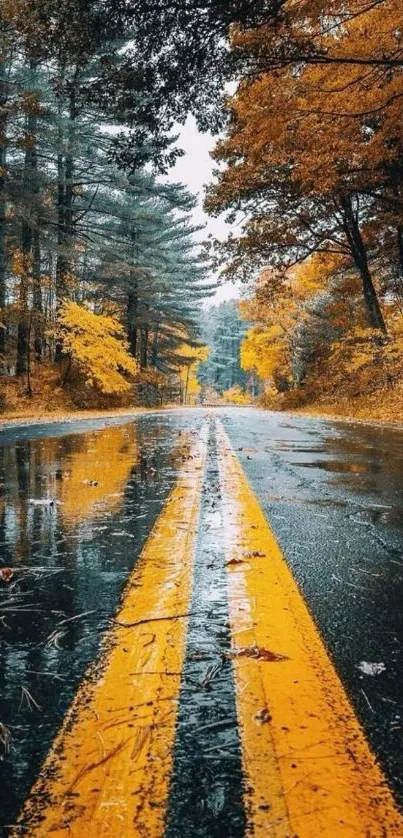 Autumn road with vibrant foliage and reflections in a forest setting.